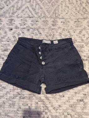 Anthropologie The Wanderer Slate Grey Shorts 26